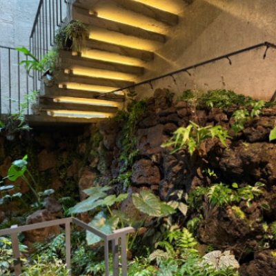 제주 레크레카페 대표후기 이미지 1